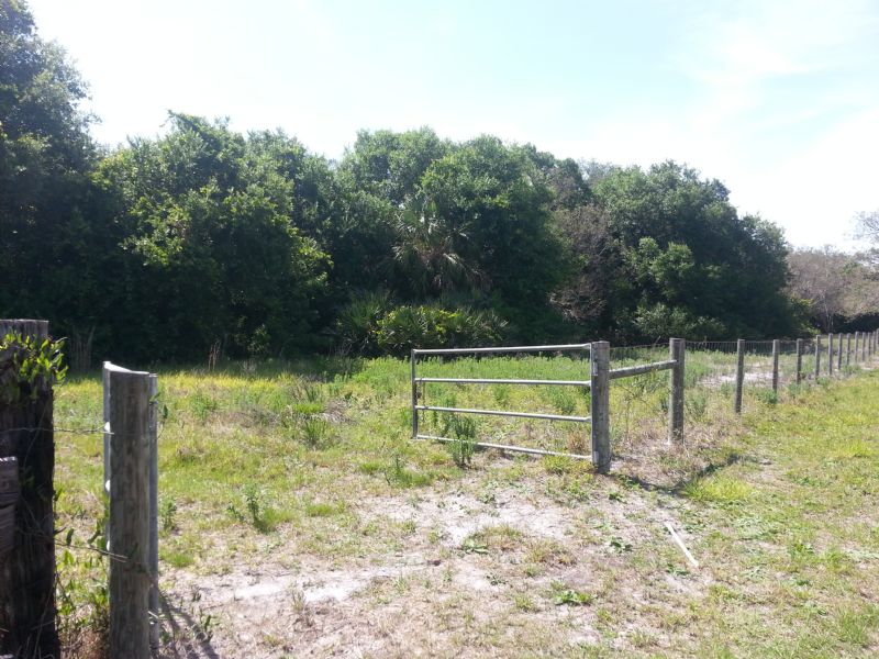 Buffer Preserve Sportsmans Paradise : Micco : Brevard County : Florida
