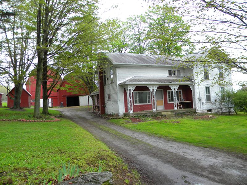 Unique Organic Farm : Greenwood : Steuben County : New York