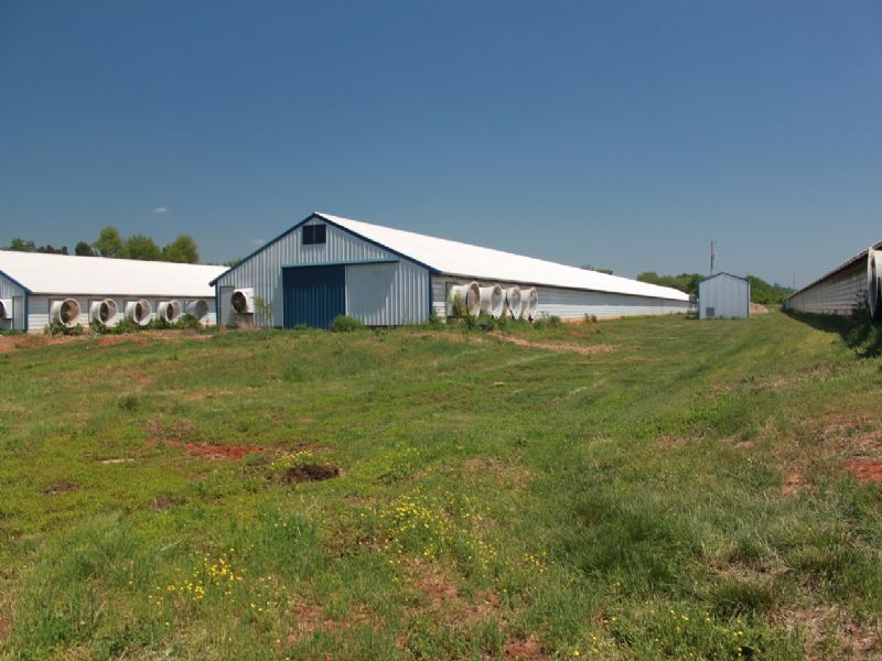 Poultry Farm, Farm for Sale in Kentucky, 75093 FARMFLIP