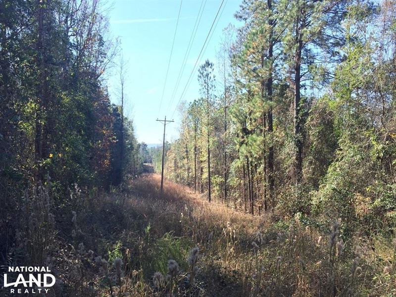 Home Site and Recreational Tract : Tallassee : Elmore County : Alabama