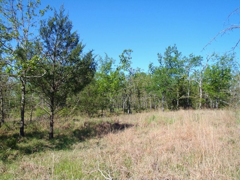 Post Oak Ridge Lot 4 : Rattan : Pushmataha County : Oklahoma