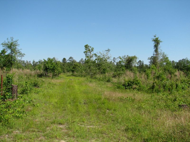 Hunters Alley : Brooklet : Bulloch County : Georgia