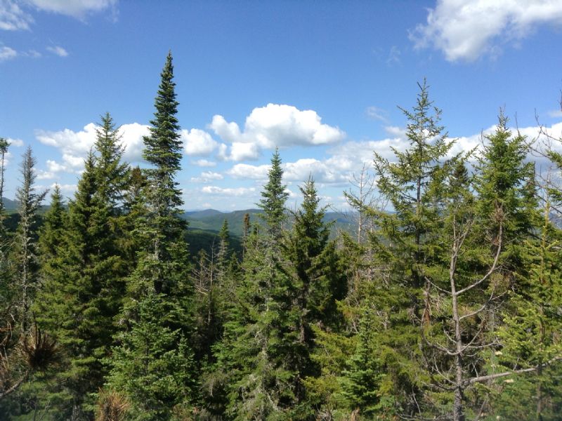 Grace Pond Cabin On 29.8 Acres : West Forks : Somerset County : Maine