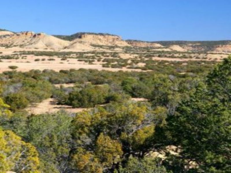 Cheap Land Arizona For Sale