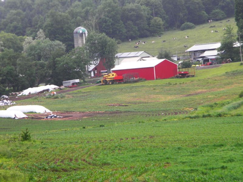 154 Acres Operating Dairy Farm : Solon : Cortland County : New York