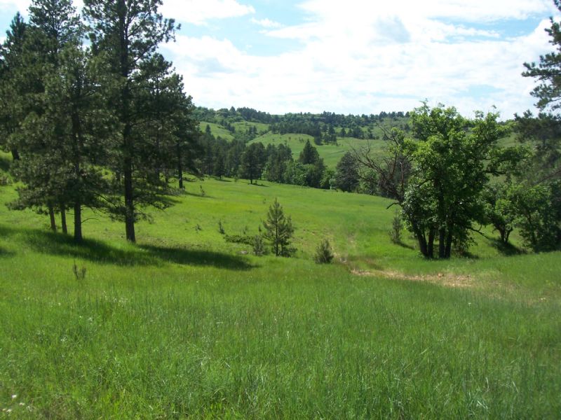 Northern Black Hills Acreage Farm for Sale in Belle Fourche, Butte