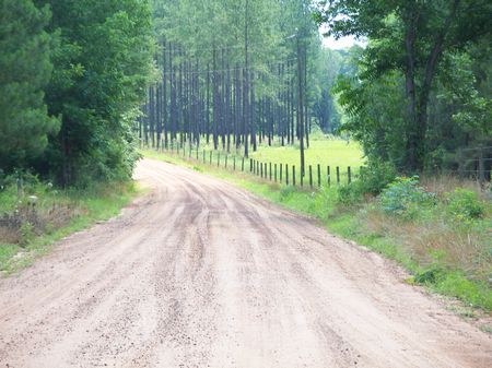 Gentleman's Farm, Hunting Place : Sasser : Terrell County : Georgia