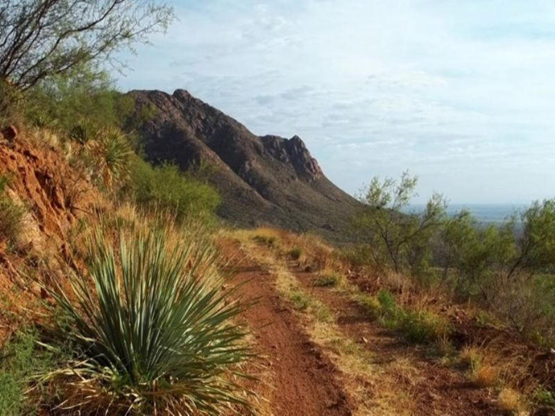 20 Acres Of Land for Sale, Farm for Sale by Owner in Texas, 76170 FARMFLIP