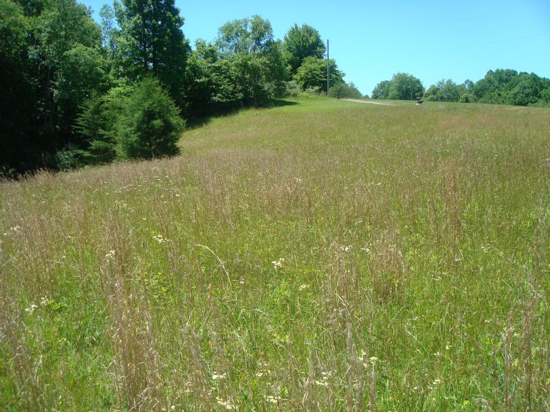 Beautiful 7.572 Acres : Dugspur : Carroll County : Virginia