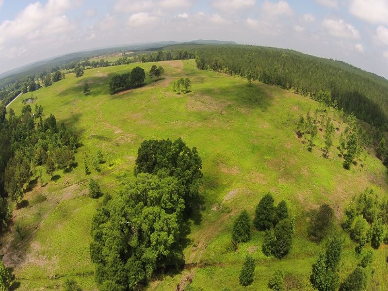 190 Acres Antioch Rd : Cedartown : Polk County : Georgia