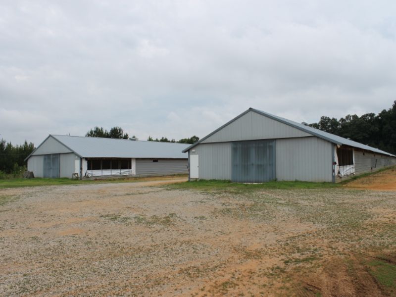 4 House Pullet Farm On 24+/- Acres : Lincoln : Talladega County : Alabama