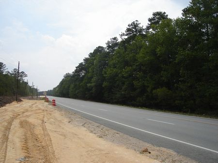 Sutlive Tract : Richmond Hill : Liberty County : Georgia