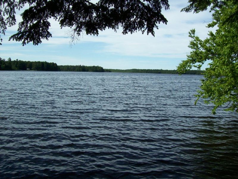 Sandy Pond 45 Acre Kingdom Parcel : Montville : Waldo County : Maine