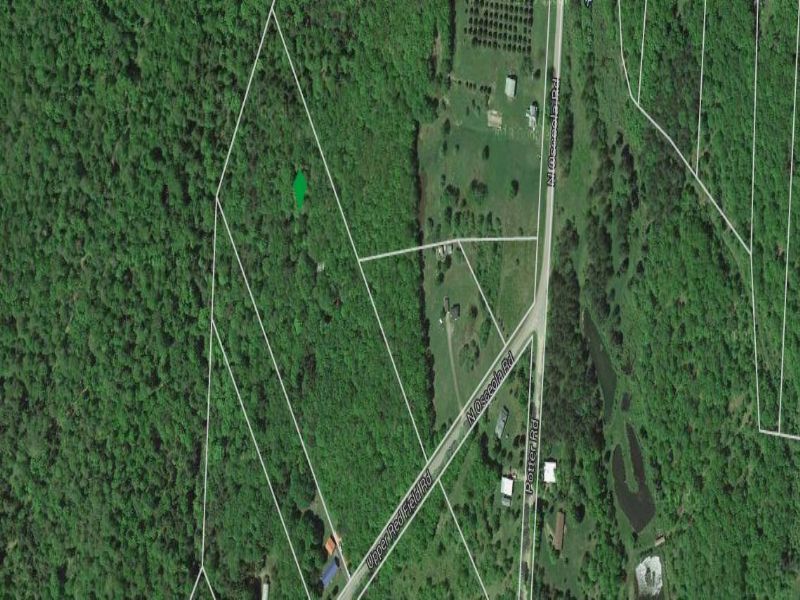 Cabin Borders State Forest 9 Acres : Osceola : Lewis County : New York