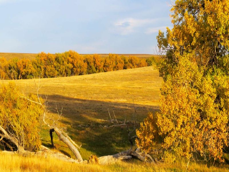 Wilson Creek Ranch : Agate : Elbert County : Colorado