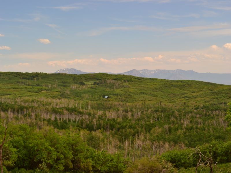 Surface Creek Ranch : Cedaredge : Delta County : Colorado
