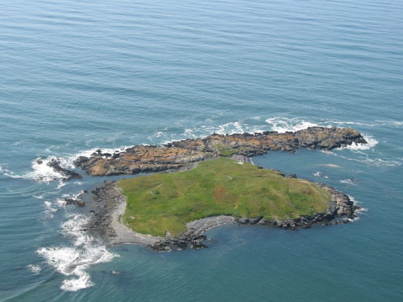 Ram Island Private 16 Acres : Machiasport : Washington County : Maine