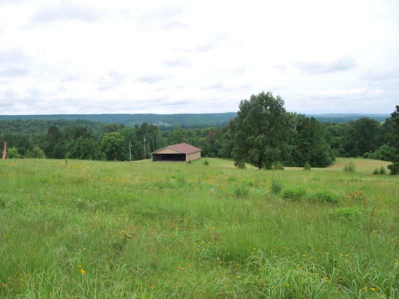 Price Reduced 69 +/- Acres : Bigelow : Perry County : Arkansas
