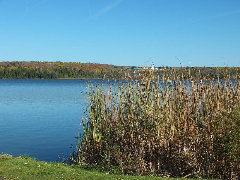 Lake Front Acreage For Sale, Farm for Sale by Owner in Presque Isle