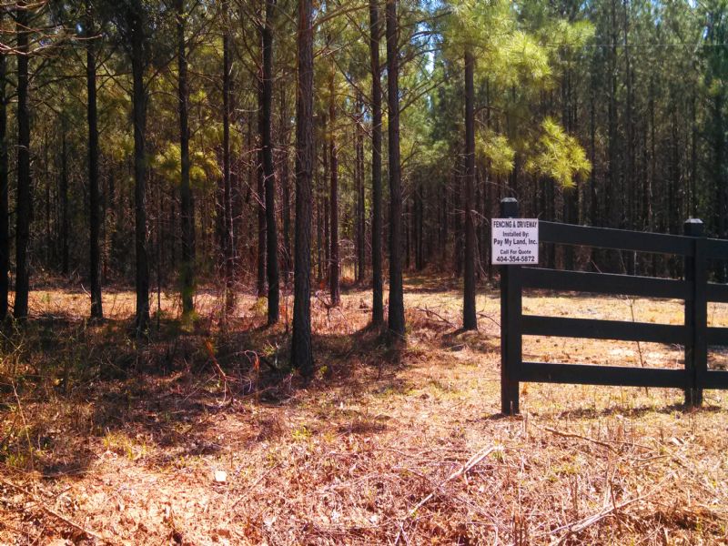 5 Acre Owner Financing, 495 Down, Farm for Sale by Owner in