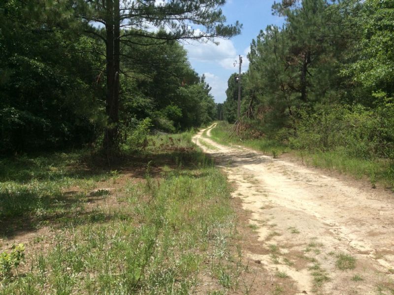 20.3 Acres - Swansea, Sc : Swansea : Lexington County : South Carolina