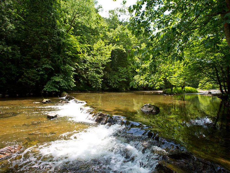Virginia Gentleman's Farm : Saltville : Smyth County : Virginia
