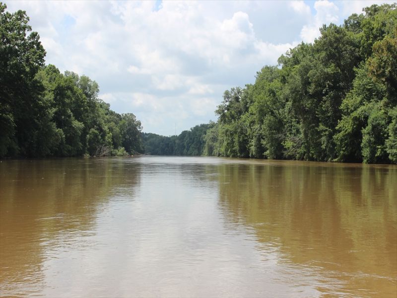 Ocmulgee River Property : Macon : Bibb County : Georgia