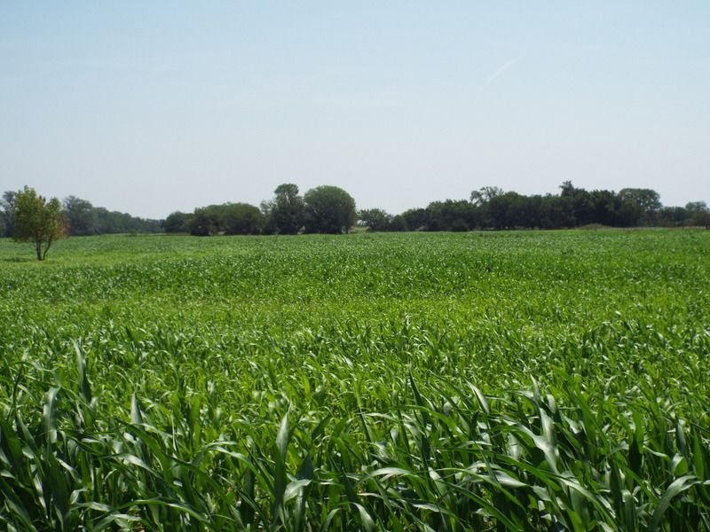 160± Acres : Dacoma : Woods County : Oklahoma