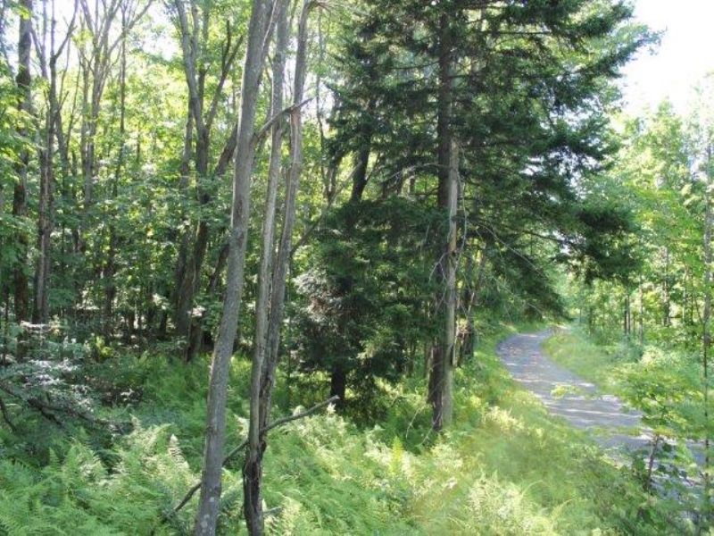 25 Acres Hunting Land Tug Hill : Martinsburg : Lewis County : New York