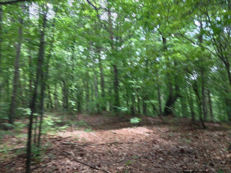 Sandy Clay North Tract : Pickens : Pickens County : South Carolina