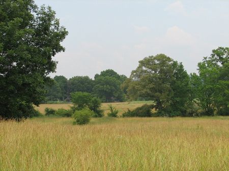 Columbiana Farm : Columbiana : Shelby County : Alabama