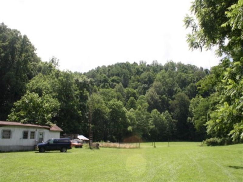 Hunting Camp 38 Acres, Farm for Sale in West Virginia, 77937 FARMFLIP