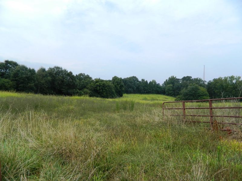 112 Ac Cattle / Horse Farm : Crawford : Oglethorpe County : Georgia