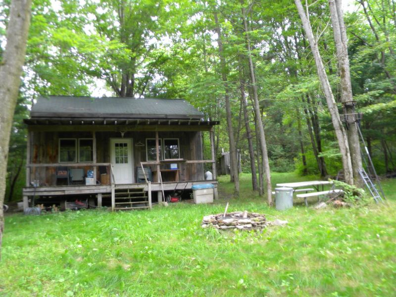 54 Ac. W/ Cabin - Excellent Hunting : Brooktondale : Tompkins County : New York
