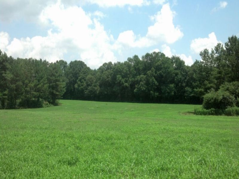 Farmland / Recreational : Carnesville : Franklin County : Georgia