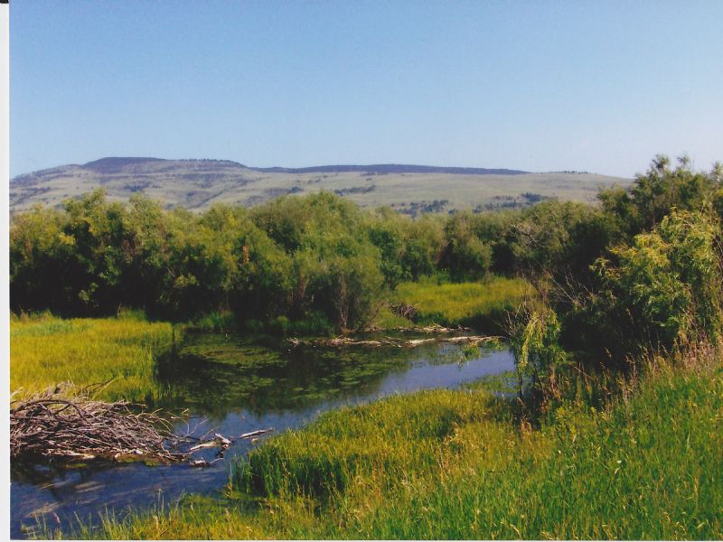 Lost River Ranch : Utica : Judith Basin County : Montana