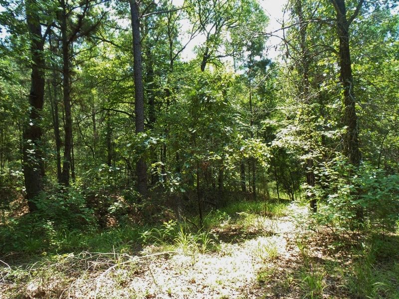 Cold Spring Creek Tract 2 : Farris : Atoka County : Oklahoma