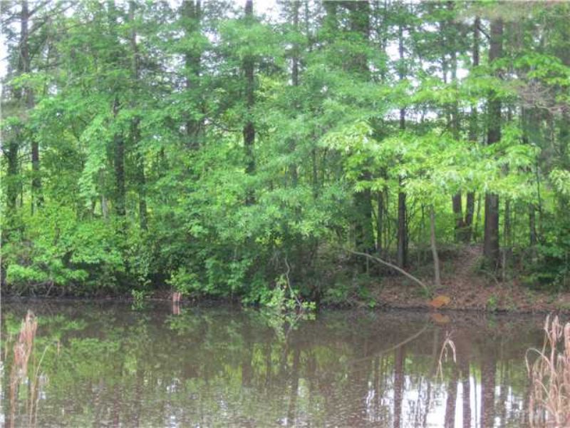61+ Acres W/pond & Dirt Trails : Siler City : Chatham County : North Carolina