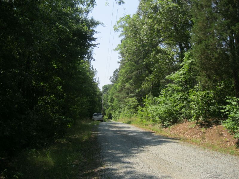 104+ Acres Price Reduced : Bear Creek : Chatham County : North Carolina