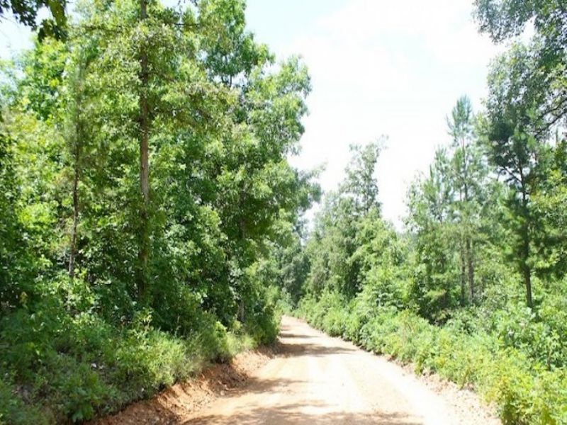 5.01 Acre Green Mountain Ranch : Winona : Shannon County : Missouri