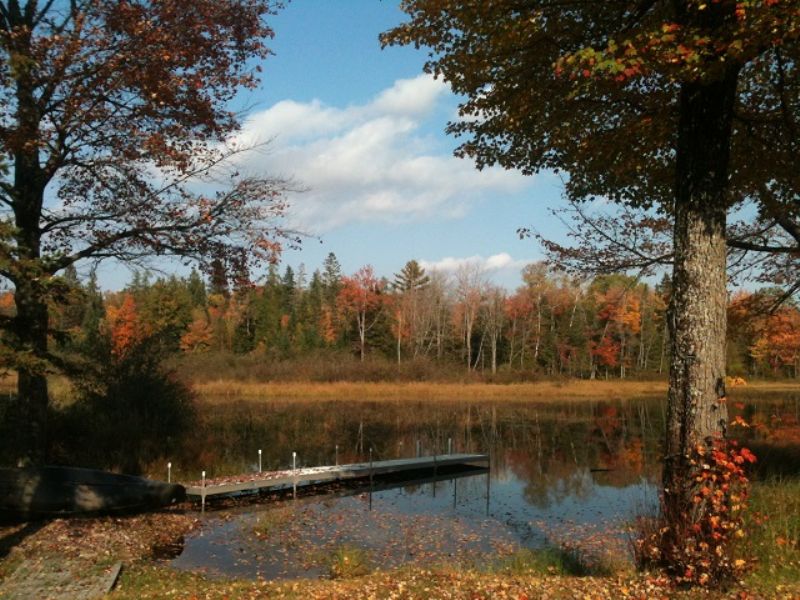 Maine Cabin On Hobbs Brook : Milo : Piscataquis County : Maine