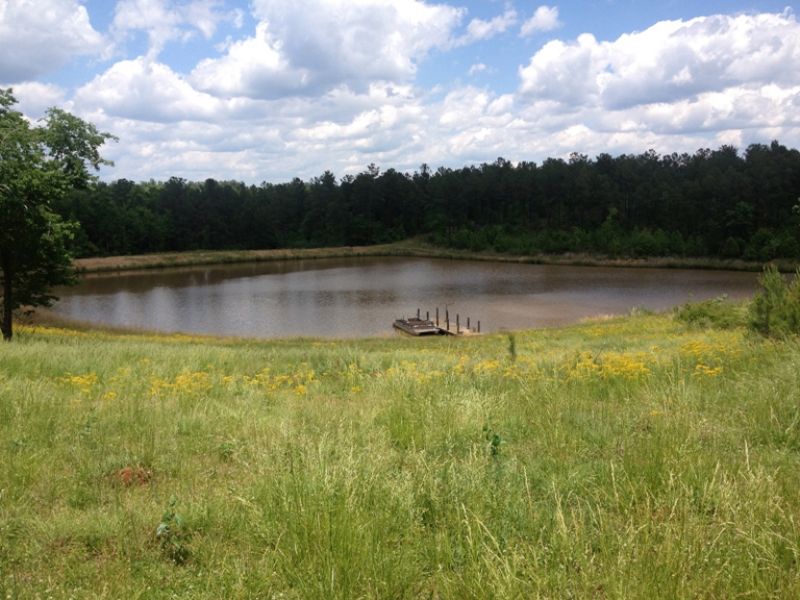 Osburn Roberts Road Tract : Gray : Jones County : Georgia