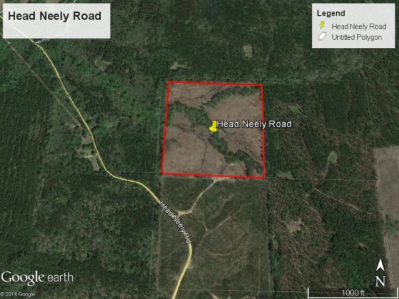 Heed Neely Road : Pinola : Simpson County : Mississippi