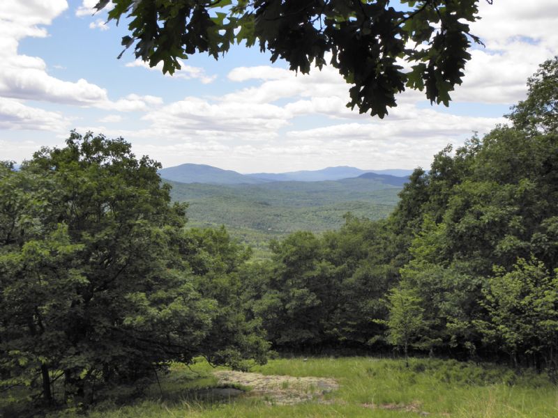 Merrill Mountain Forest : Hiram : Oxford County : Maine