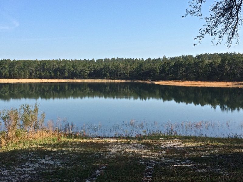 Ten Mile Creek : Altha : Calhoun County : Florida