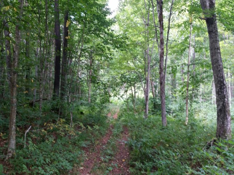 New York Hunting Land Atv Trails Farm for Sale in Redfield, Oswego