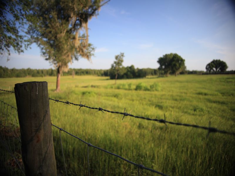 Crazy B Ranch : Bryceville : Nassau County : Florida