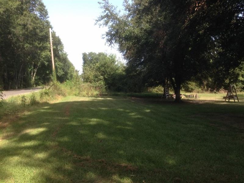 20 Ac - Farm Land with Old Home Sit : Swartz : Ouachita Parish : Louisiana