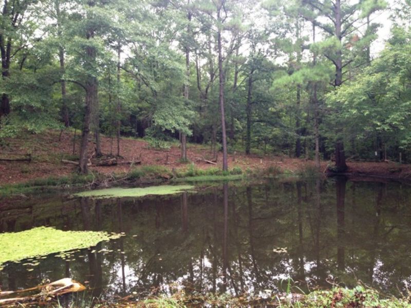 12 +/- Acres with A Pond : Banks : Pike County : Alabama