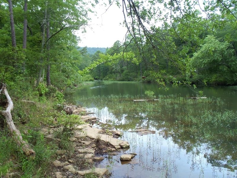 Black Fork Creek Tract 2 : Nashoba : Pushmataha County : Oklahoma